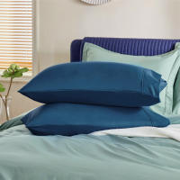 2Pcs Fundas Para Almohada Satén Cómodas Para El Cabello Y La Belleza Fundas Para Almohadas De Dormitorio Decoración Del Hogar - details 14