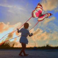 Butterfly Kite para juegos y actividades al aire libre - details 5