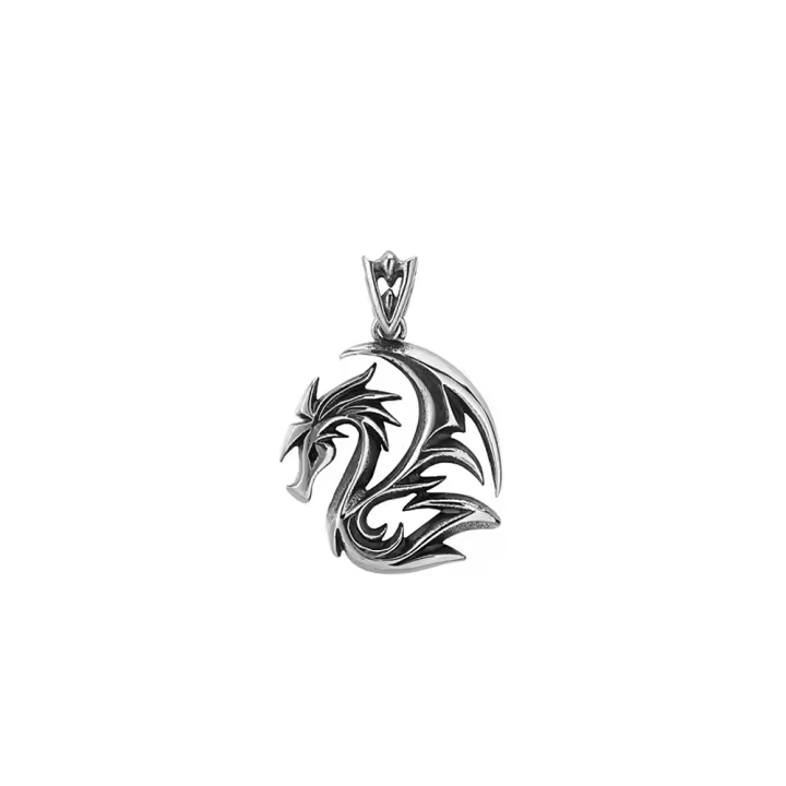 Collar Colgante De Dragón Flamejante Clásico En Acero Inoxidable 316L Para Moteros Joyería Moda Unisex Regalos - 1