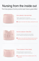 Cinturón De Recuperación Postparto 3 En 1 Corset Ajustable Para Mujeres Embarazadas Modelador De Cintura Y Abdomen Material Nylon Poliéster Algodón - details 9