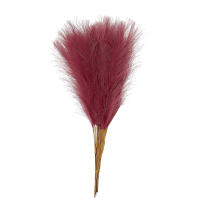 10PCS Pampas De Paja Fluffy 55CM Decoración Bohemia Para Fiesta Y Hogar Plantas Artificiales De Rabo De Sapo Para Boda - details 15