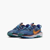 Zapatilla Nike Trail Junior  Pegasus  5 Fv5638 400 Azul - details 1