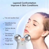 Masajeador De Rostro EMS De Microcorriente Con Doble Cabeza De Acero Inoxidable Y Terapia RF Dispositivo De Belleza Levantamiento Y Firmeza De La Piel - details 1