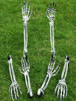 Cabeza De Esqueleto Calavera Realista Para Decoración De Jardín Casa Y Calle En Halloween Accesorios De Fiesta Y Horror Props De Mano Y Brazos De Hombre - details 2