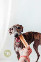 BIMORDISCOS Pet Products - Queso para Perros - Receta del Himalaya - Snack para Perros - Huesos para Perros - details 0