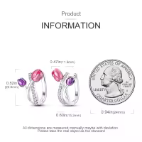 Pendientes De Aro De Plata 925 Para Mujer Con Zirconia Joyería De Moda Regalo Original Eardrop Pendientes Metálicos Tipo Aro - details 52