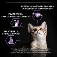 PURINA Pro Plan Gato Kitten Healthy Start Pollo - Pienso Seco para Gatos - Purina Proplan Gato - Pienso Mascotas - Comida Seca Gatos - details 2