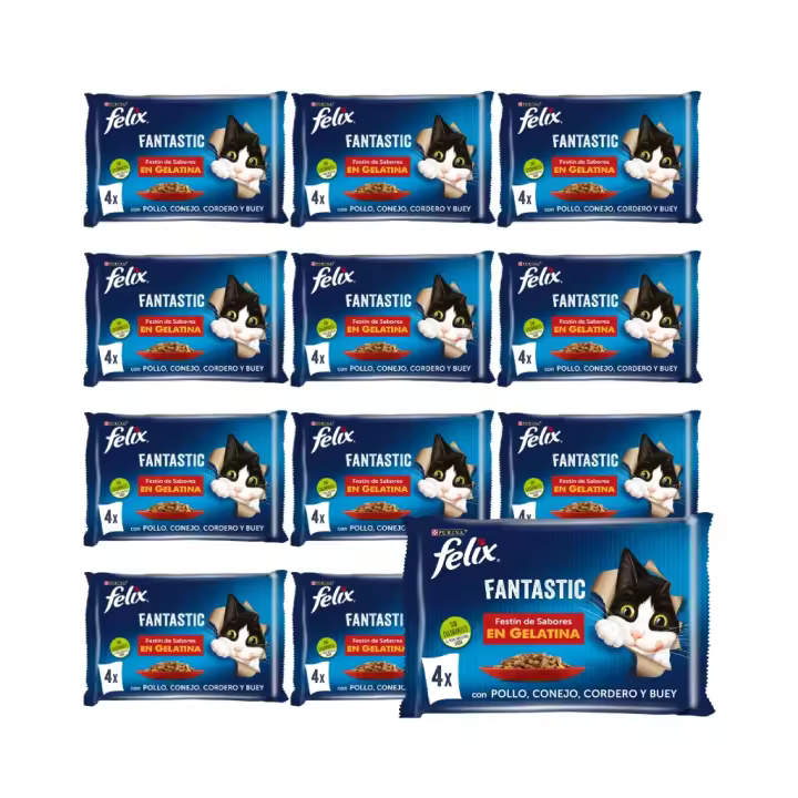 FELIX - Fantastic Gelatina (48x85 gr) - Comida Húmeda Festín de Sabores en Gelatina (Buey, Pollo, Conejo y Cordero) (12x4x85 gr) - 1