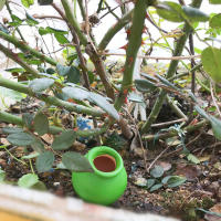 1Pc Sistema De Riego Automático De Cerámica Portátil Para Cultivo De Macetas Dispositivo De Agujero Para Verter Y Medir El Agua - details 7