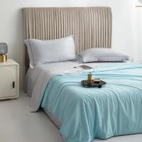 Almohadilla De Aire Para Verano De Seda Helada En Color Puro Manta Fría De Poliéster Suave Y Ligera Tamaño Twin/King - details 25