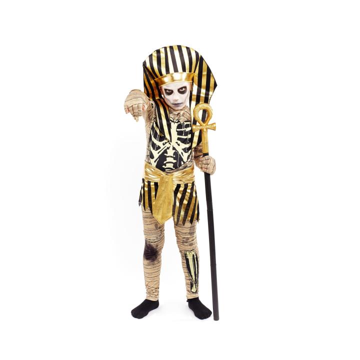 Disfraz de Faraón para Adultos y Niños, Costumes Premium Dorado, Disfraz Egipcio Hombre Adulto Niño Disfraz Momia para Carnaval Halloween Fiesta Cosplay