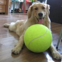 Bola De Tenis Para Perros Grande 7/8/9.5 Pulgadas Juguete De Masticar Mega Jumbo Para Niños Y Entrenamiento Fleece Interactive Toys Para Mascotas - details 0