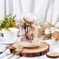 Jarrón De Vidrio Con Base Cloche De Cristal Para Exhibición De Plantas Flores Suculentas Y Almacenamiento Decoración Para Hogar Y Fiestas Navideñas - details 2