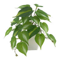 1pc Plantas Artificiales Pequeñas Con Macetas De Plástico Decoración De Escritorio Para Oficina Y Hogar Ambiente Interior Y Exterior - details 17