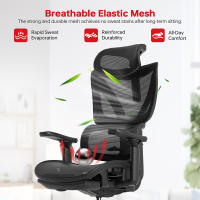 ACGAM Silla de Oficina, Silla de Escritorio de Malla, Silla Giratoria Ergonómica, Soporte Lumbar, Oscilante, Asiento de 53 cm, Apoyabrazos Abatibles, Negro - details 0