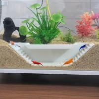 Túnel Para Acuario De Observación Subterránea Con Ventana Oculta Para Peces Y Camarones Material PLA Peso 0.065kg - details 5