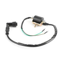 Areyourshop Bobina De Encendido Para ATV Quad Motocicleta Go Kart 50cc 70cc 90cc 110cc 125cc Repuesto De Encendido De Motocicleta - details 3