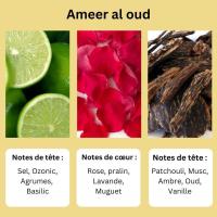 Perfume intimo concentrado Musk Ameer al oud  12ml Ayat, Musk pachuli, rosas, lavanda femenino pequeño , Botella bonita sensual ,eficaz - details 2