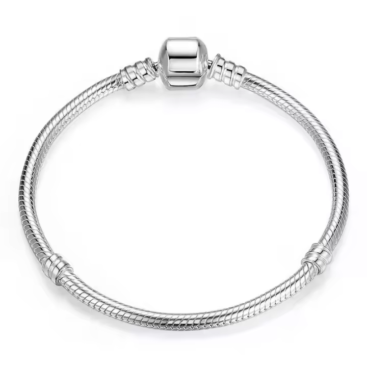 Pulsera de Encanto de Plata Esterlina 925 Hecho a Mano Diseño Suave y Liso de Serpiente para Mujeres - 1
