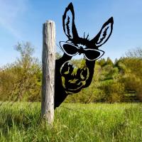 Adorno De Jardín En Forma De Burro Silueta De Hierro Para Decoración Rural Arte De Pared Para Fiestas En Jardín Y Decoración Del Hogar - details 2