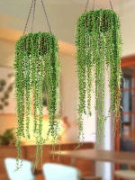 1PC Cadena De Perlas Artificial De Suculentas Colgantes Para Bodas Y Decoración De Hogar Para Sala De Estar Y Dormitorio - details 0