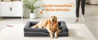 Feandrea Cama Ortopédica para Perros, Sofá, Cama para Mascotas, Acolchado Suave, Bordes Elevados, Funda Extraíble y Lavable, 106 x 80 x 20 cm, Antideslizante, Gris Osucro - details 0