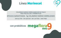 WeBotanix  Colageno Marino Hidrolizado 275 gr  Marinecol Mobility  Con Ácido Hialurónico, Magnesio, Vitamina C y Proteína de cáñamo  Sin Gluten y Lactosa  Para articulaciones, huesos y músculos. - details 2