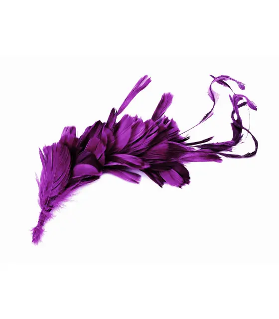 MONTAJE DE PLUMAS GALLO, ÁNADE Y OCA - 1