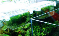 Caja De Acuario Tropico Caja De Cría De Pez Transparente Plástico Suministros De Acuario - details 8
