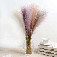 5/10Pcs Pampas Artificial Flor Para Decoración De Hogar Boda Y Jardín Arreglo Floral Falso Planta En Vaso Guirnalda Exterior - details 13