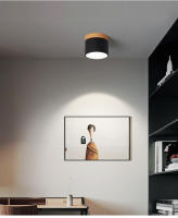 Lámpara De Techo LED Para El Hogar Estilo Moderno Iluminación Tricolor Para Sala De Estar Dormitorio Balcón Luz Decorativa Interior - details 13