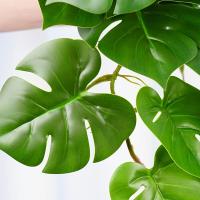 1pc Hoja De Tortuga Artificial Para Colgar En Macetas O Vajilla Decoración De Casa Y Regalos Planta Verde Artificial De Poliéster Para Exposición Y Aniversarios - details 4