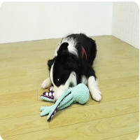 Juguete De Octopus De Peluche Para Perros Interactivo Con Sonido Anti-Demolición Compañero De Bricolaje Para Grandes Y Pequeños Perros Juguetes Para Aliviar La Boredom - details 3