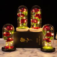Kit de Rosas de La Bella y la Bestia - Rosa Eterna con Cúpula de Cristal con Luz LED, Regalo Perfecto para Cumpleaños, Aniversarios y Bodas - details 0