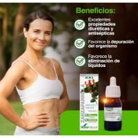 Soria Natural - Extracto Zarzaparrilla - Depurativa Diurética - Eliminación Ácido Úrico - details 2