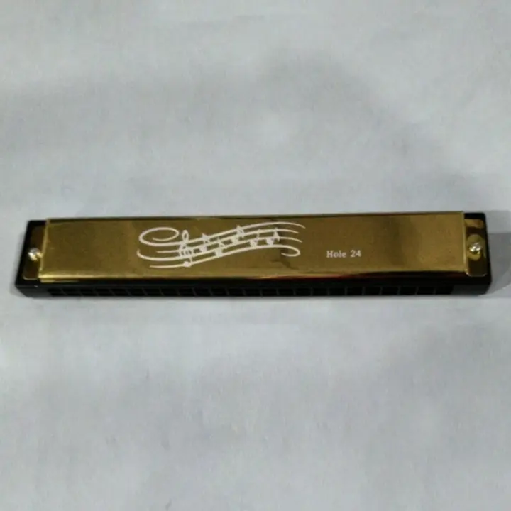 Harmonica De 24 Agujeros En Do Play Tremolo Organ De Bocina Doble Fila Para Blues Instrumento Musical De Aire - 1