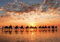Educa - Puzzle de 1000 Piezas , Atardecer en Cable Beach, Australia. Incluye Pegamento Fix Puzzle. + 14 años Educa 18492 - details 0