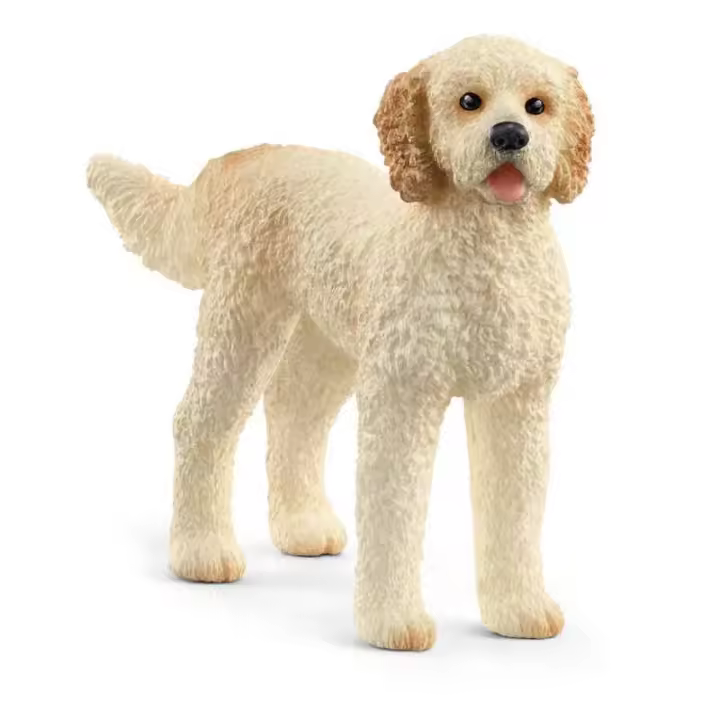 Figura Schleich Goldendoodle Realista Pelo Dorado - 1
