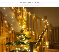Cinta De Luces Navideñas LED Para Decoración De Fiesta Cumpleaños Boda Arbolado Y Callejero 110V 220V EU US Incluye Cable De Alimentación - details 4