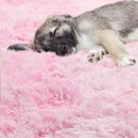 Carpetas De Piso Para Habitación De Niñas Rosa Suaves Y Gruesas Alfombra Grande Para Dormitorio Decoración Del Salón Alfombras Para Cama De Niños - details 11