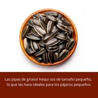 Pipas Iregui de Girasol para Jilgueros, Agapornis Vinci - details 0