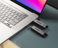 Kingston USB 256 GB Tipo C 3.2 Gen 2 Negro - DTMAX/256GB - details 2