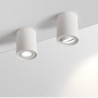 Luz De Techo Montada En Superficie 9W 12W 15W LED Downlight Bombilla Reemplazable Ángulo De Choque Ajustable AC110V 220V Moderno Para Foyer - details 8