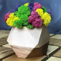 Decorativo De Moss Preservado Ligero Arte Artificial De Moss Verde Eterno Para Decoración De Paredes En Casa Y Fiestas - details 8