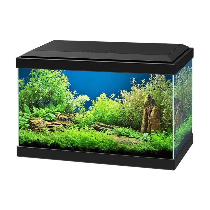 Aqua 20 Ciano Negro o Blanco - 17 Litros - Kit con Iluminación, Filtro y Consumibles - 1