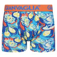 Paquete de 5 calzoncillos bóxer de algodón para hombres GIANVAGLIA Calzoncillos Boxers de Algodón Ajustados Clásicos - details 0