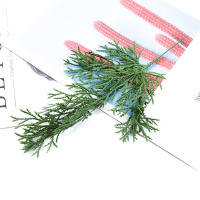 5/10pcs Hojas De Ciprés Para Decoración De Navidad Y Bodas Artesanías Y Flores Decorativas Plantas Artificiales De Prensa PP - details 17