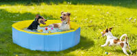 Nobleza - Piscina para Perros Grandes y Pequeños, Bañera Plegable Rigida Antideslizante para Mascotas, Gatos, 80*20cm, S, Azul - details 6