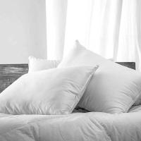 Almohada Viscoelástica Belnou con Aloe Vera | Doble Funda Transpirable y Suave | Máximo Confort para un Sueño Reparador y un Descanso Óptimo - details 1