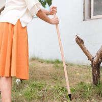 Herramienta De Jardín Para Remover Malas Hierbas Y Raíces Reemplazo De Cabeza De Arrastre Herramienta De Excavación Y Riego Para Jardín - details 7